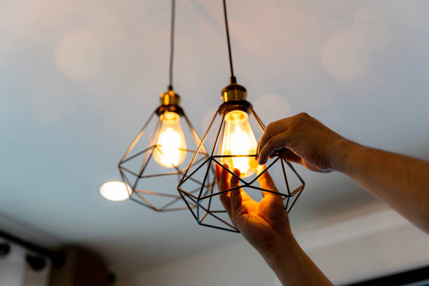 Best Electrician for Home Renovation  in Wesley Chapel, NC